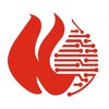 情探岛 